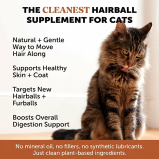 Hairball Support Blend for Cats for less vomiting, better digestion & a happier cat