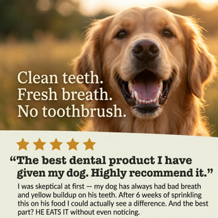 Dental Powder for Dogs for fresh breath, clean teeth & less tartar