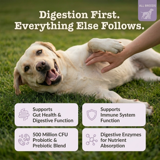 Probiotic Blend for Dogs for gut health, digestion & immune support